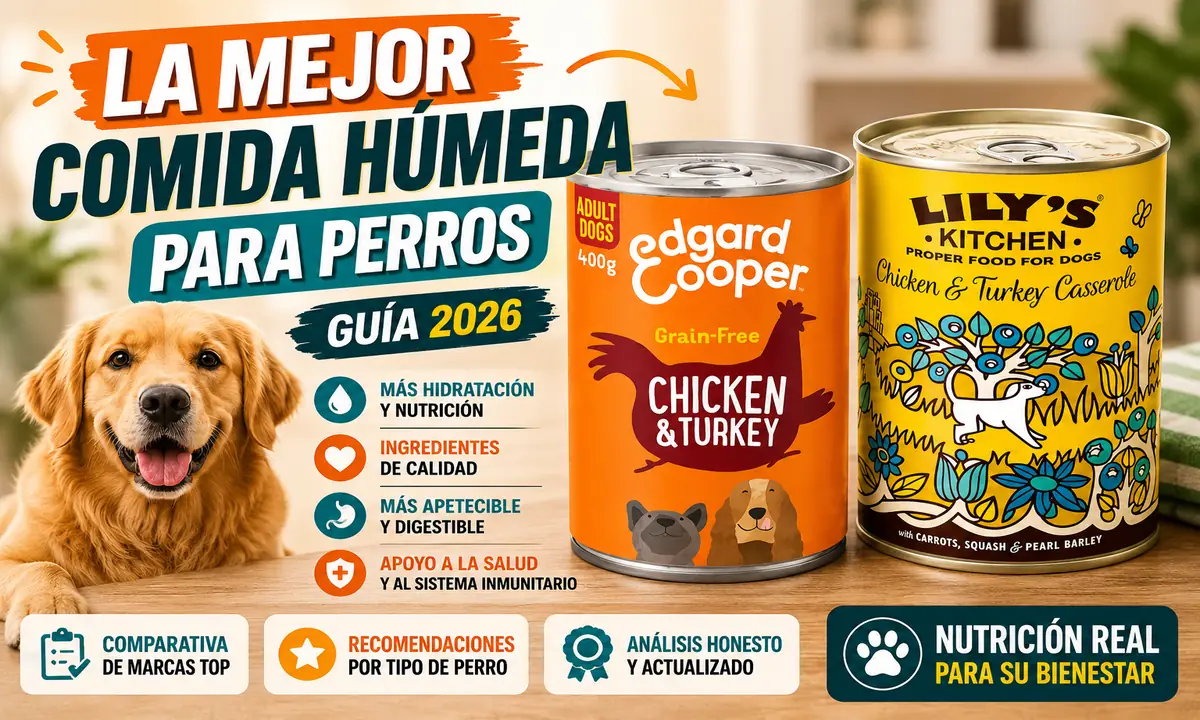 Mejor Comida Húmeda para Perros en 2026: Comparativa y Guía de Compra