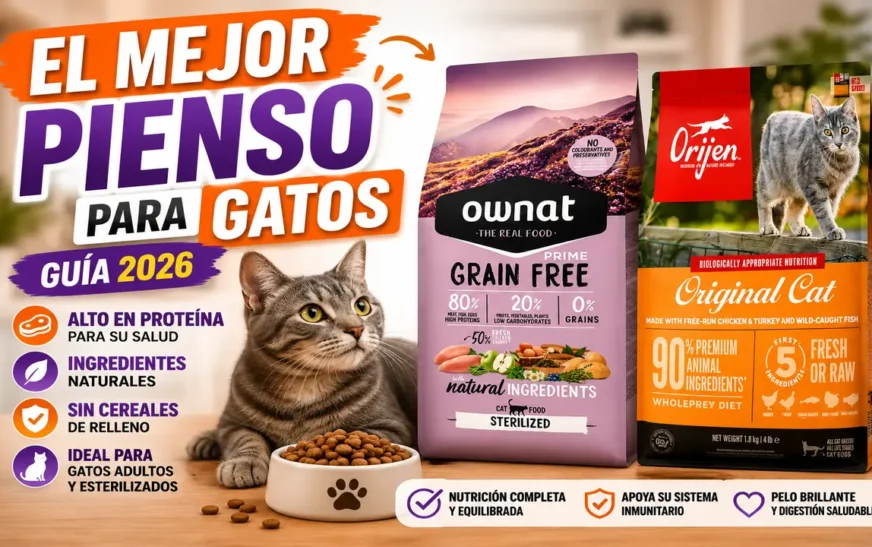 Mejor Pienso para Gatos en 2026: Comparativa y Guía de Compra