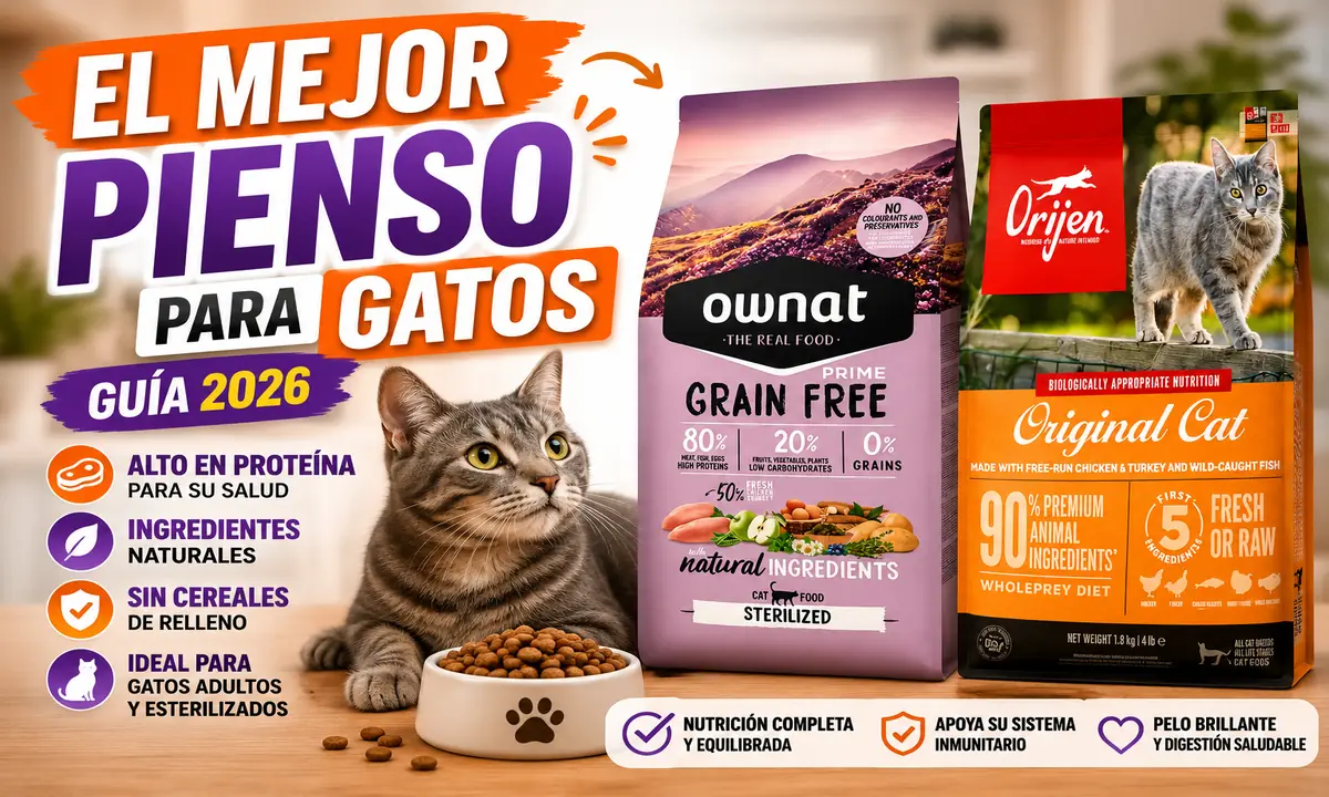 Mejor Pienso para Gatos en 2026: Comparativa y Guía de Compra