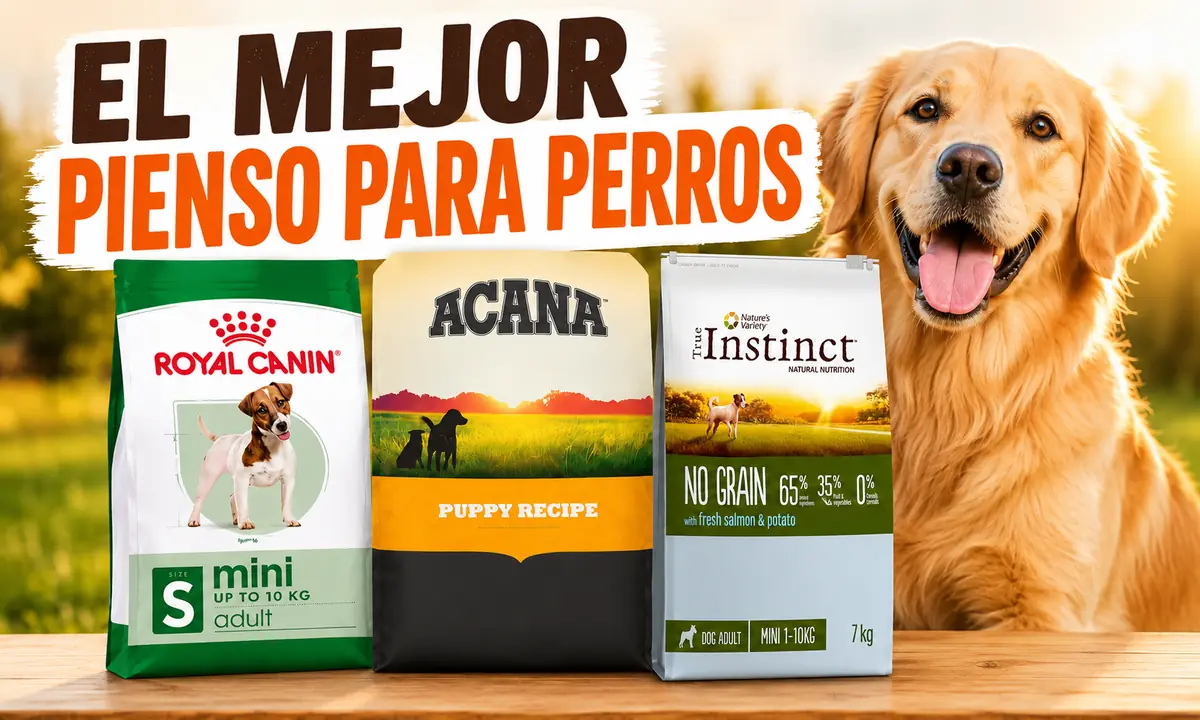 Mejor Pienso para Perros en 2026: Comparativa y Guía de Compra