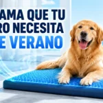 Perro tumbado en una cama refrescante para perros de gel azul en verano