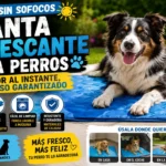 Perro tumbado en una manta refrescante para perros de gel azul en verano